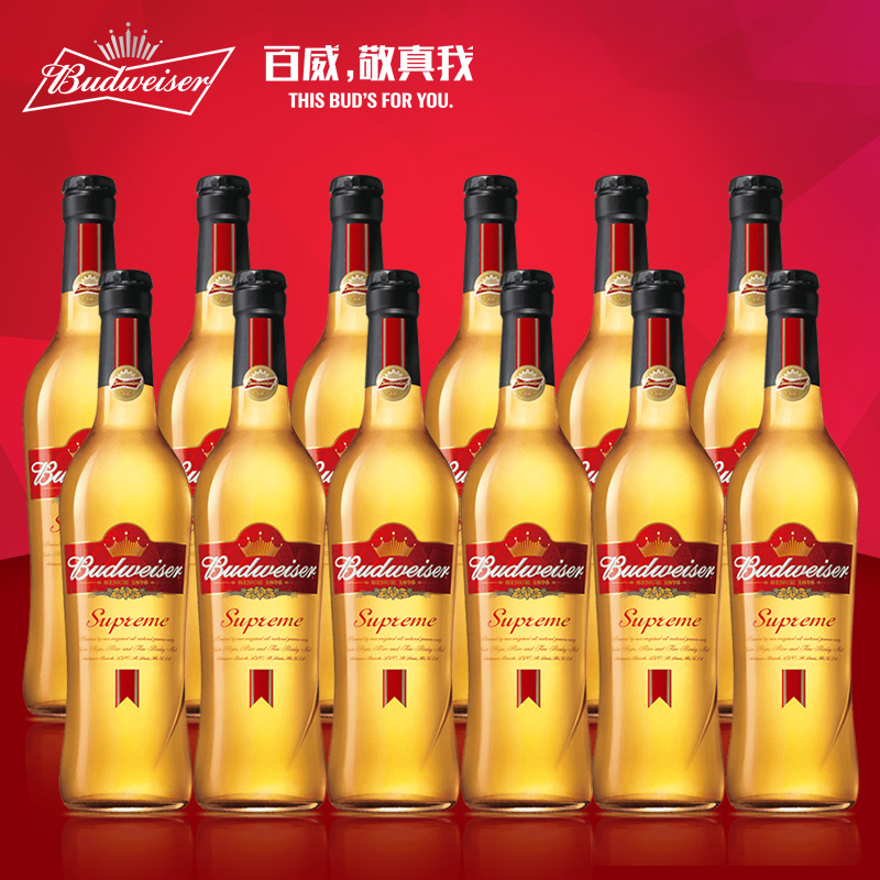 budweiser/百威金尊啤酒500ml*12瓶 高端商务宴请 婚宴礼节